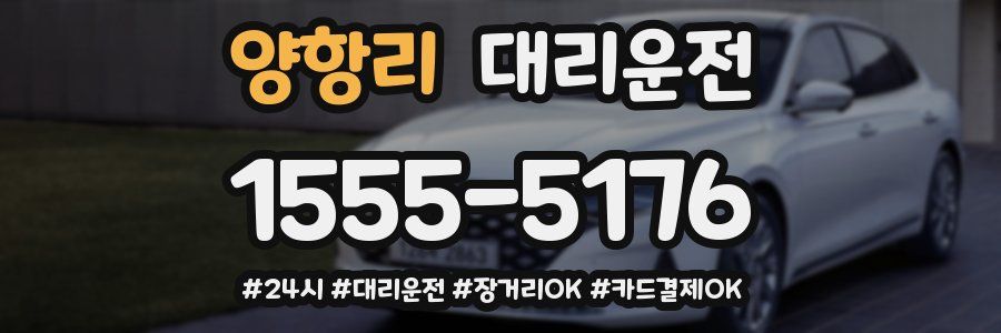 양항리 대리운전