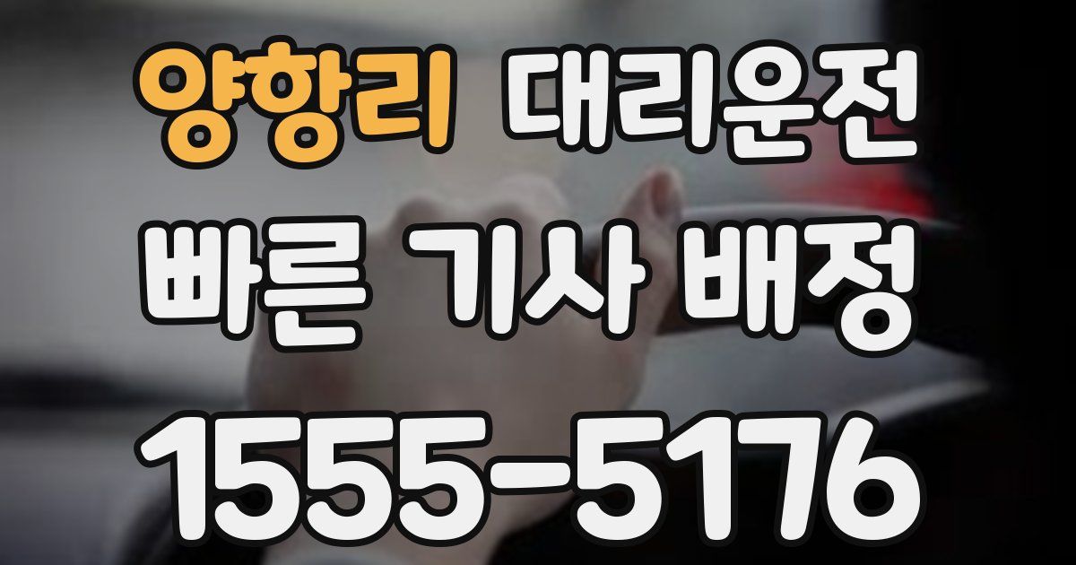 일일대리기사