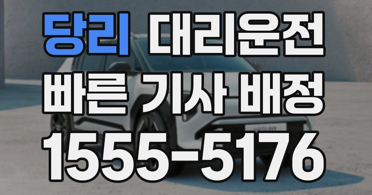 일일대리기사