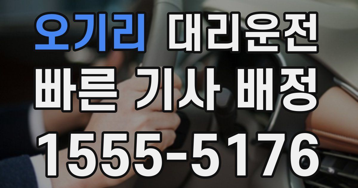 일일대리기사