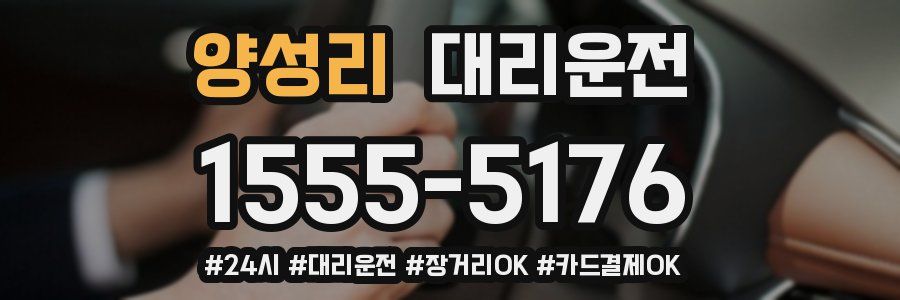 양성리 대리운전