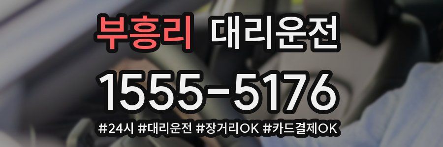 부흥리 대리운전