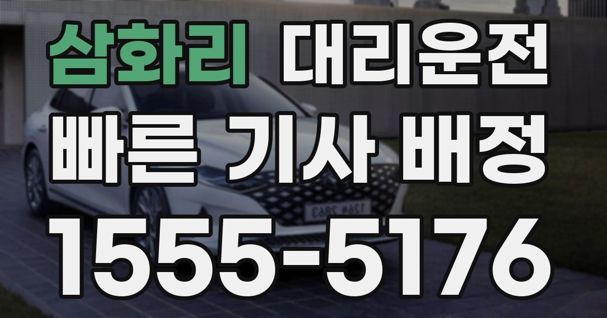 일일대리기사