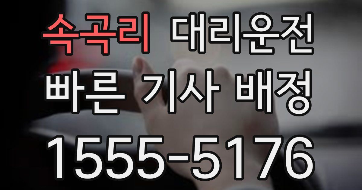 일일대리기사