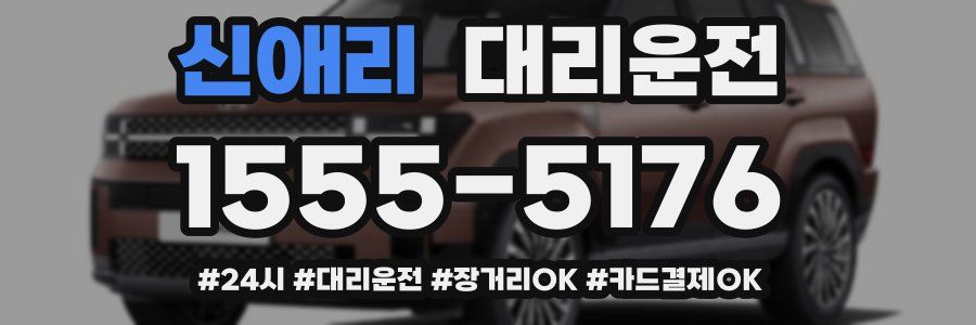 신애리 대리운전