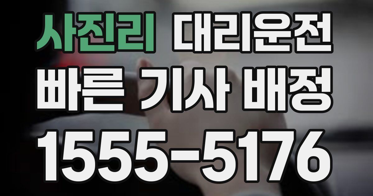 일일대리기사