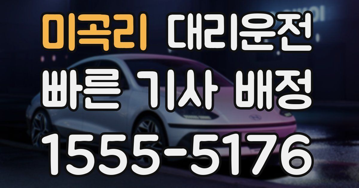 일일대리기사