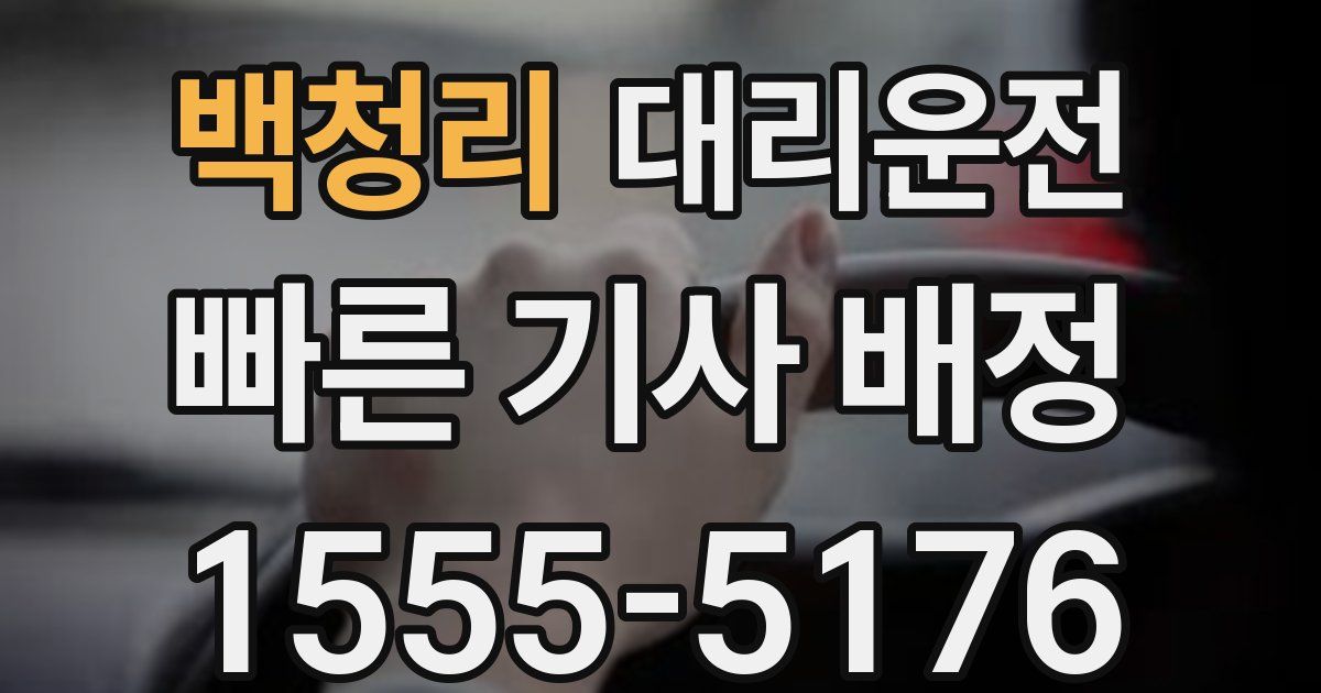 일일대리기사