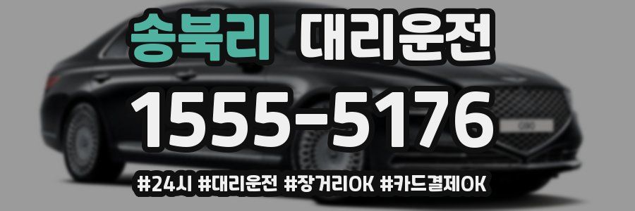 송북리 대리운전