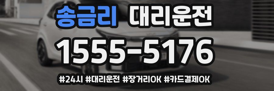 송금리 대리운전