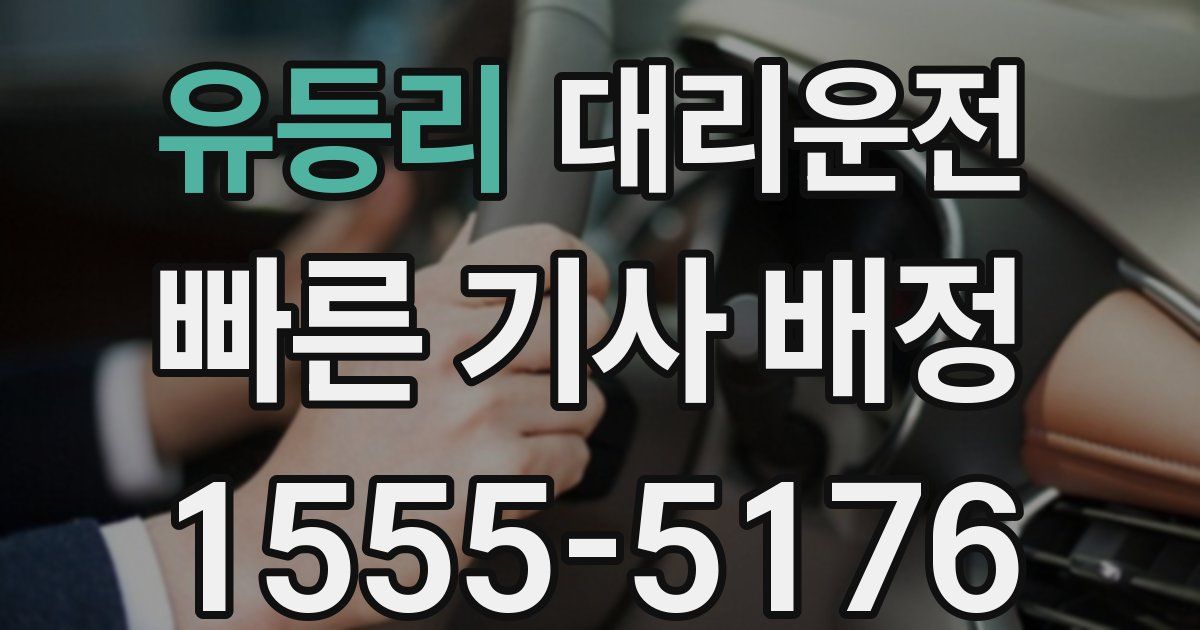 일일대리기사