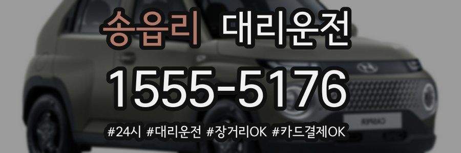 송읍리 대리운전