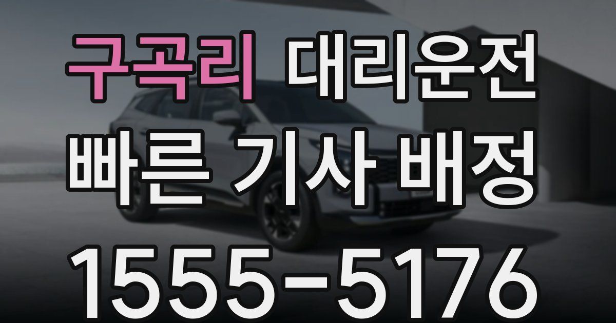 일일대리기사