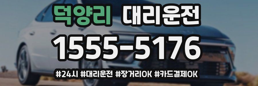 덕양리 대리운전