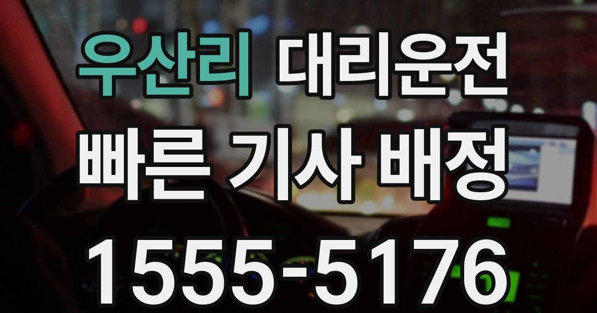 일일대리기사