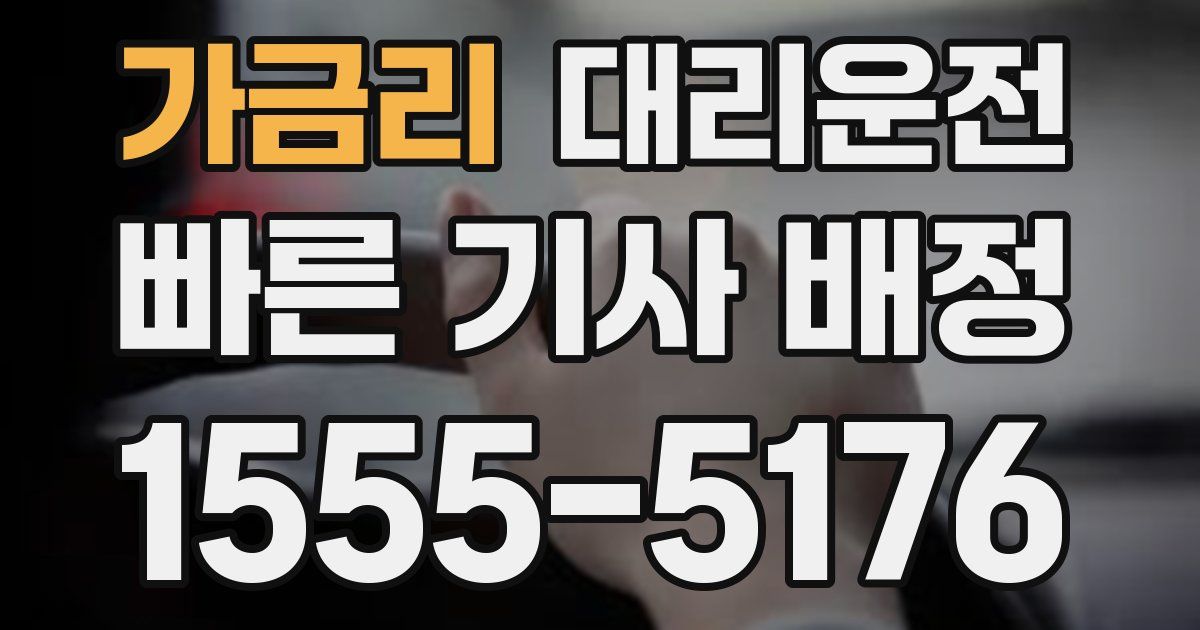 일일대리기사