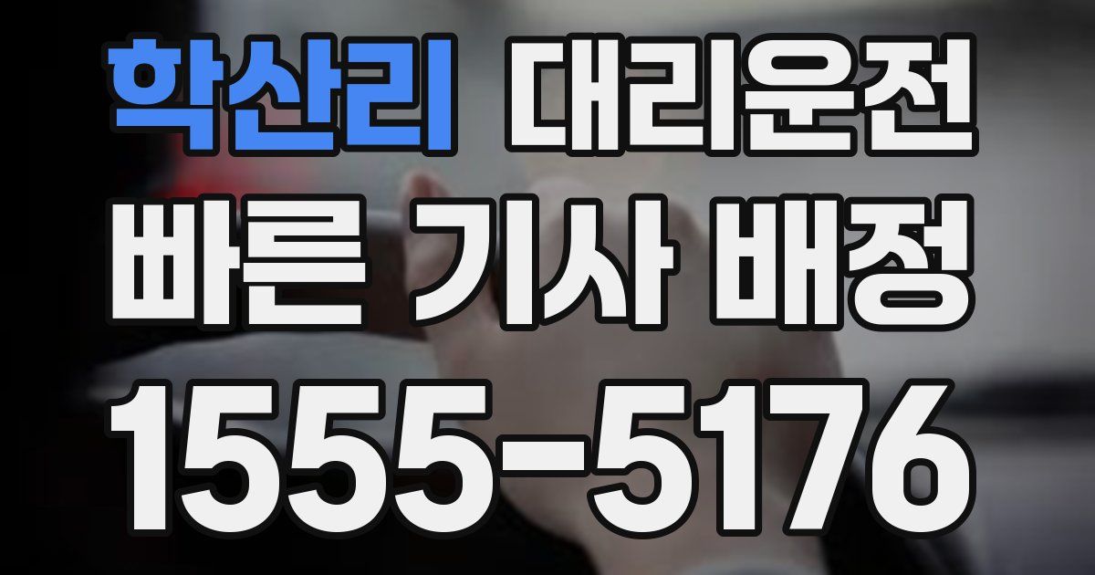 일일대리기사