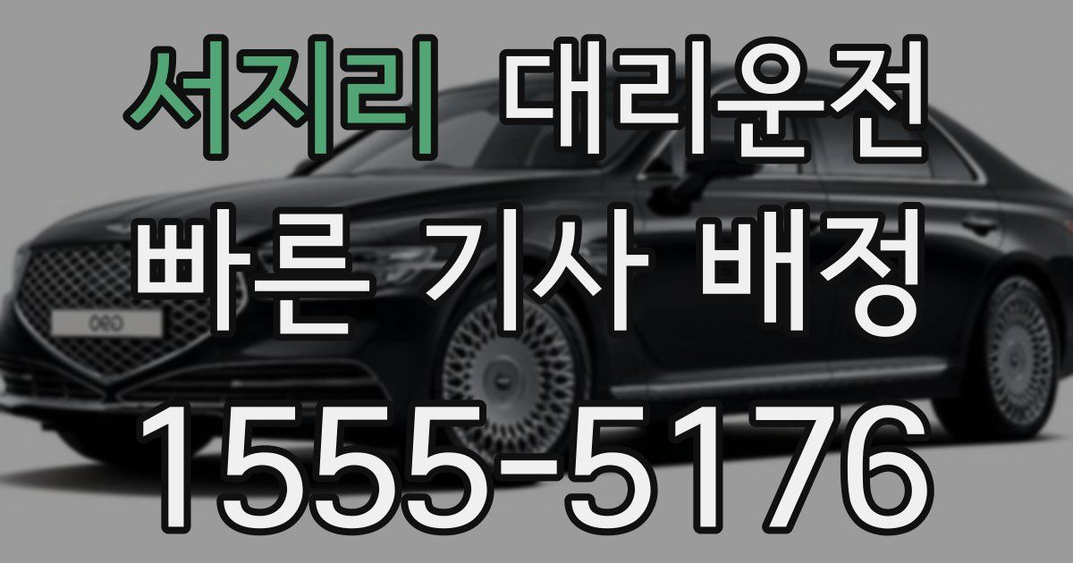 일일대리기사