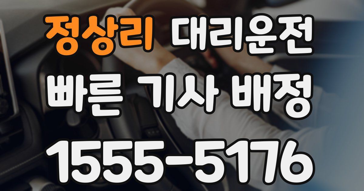 일일대리기사