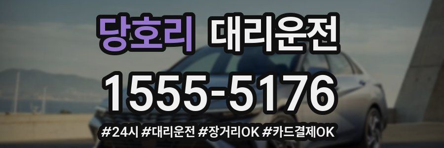 당호리 대리운전