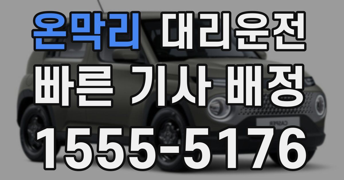 일일대리기사