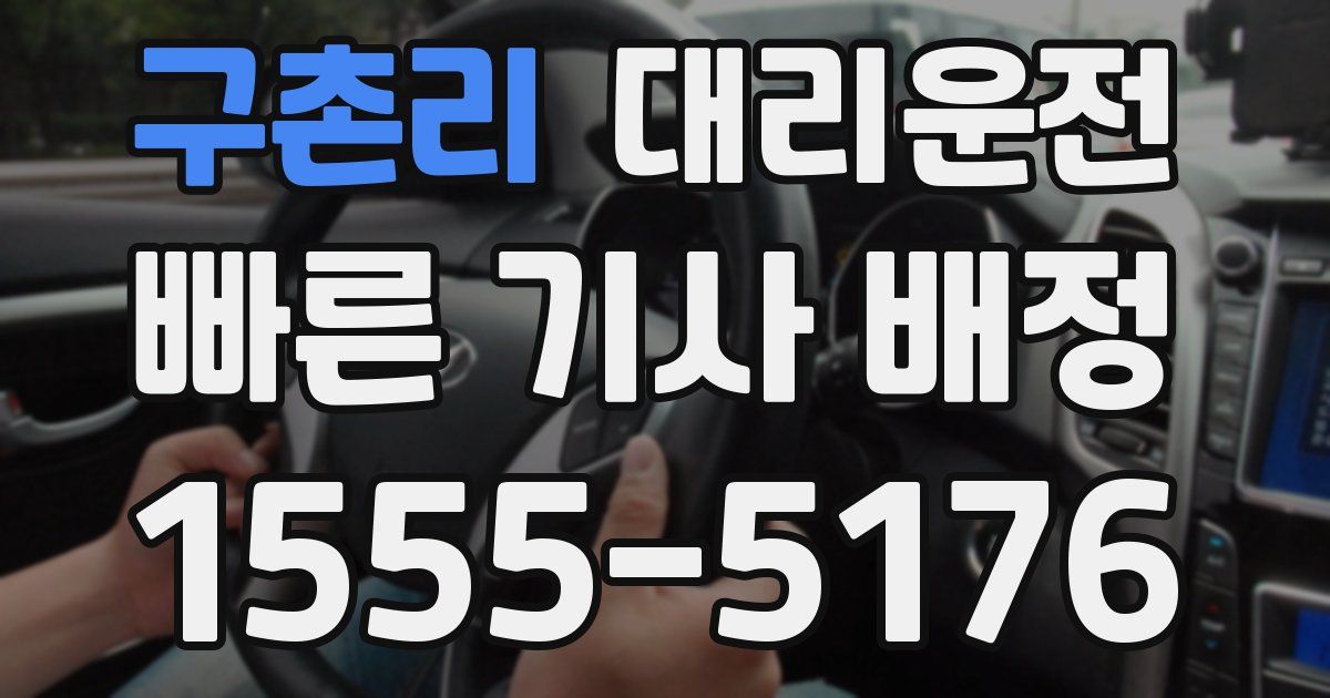 일일대리기사
