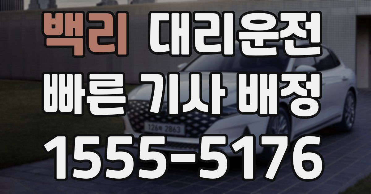 일일대리기사
