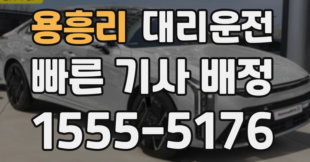일일대리기사