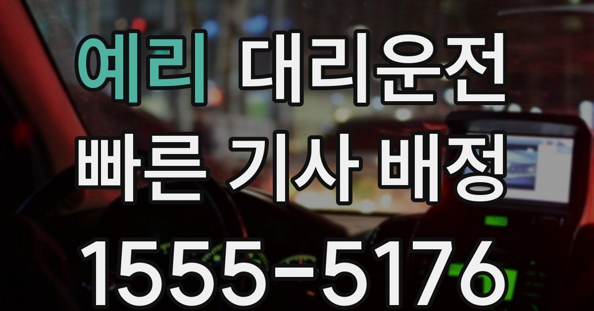일일대리기사