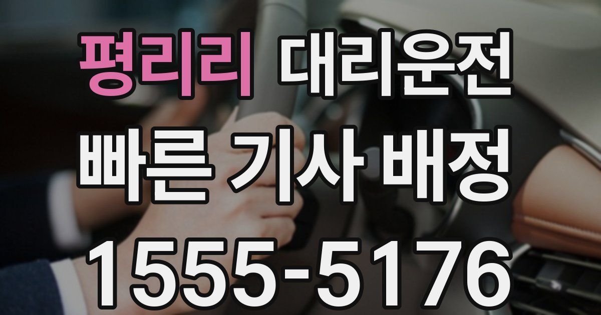 일일대리기사