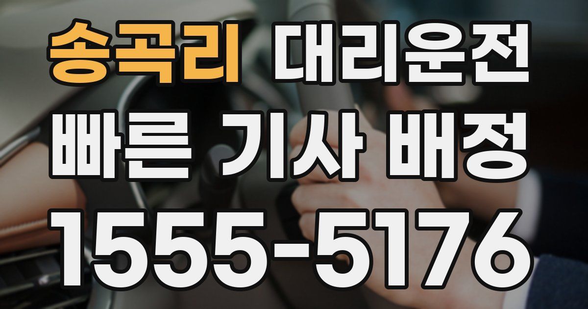 일일대리기사
