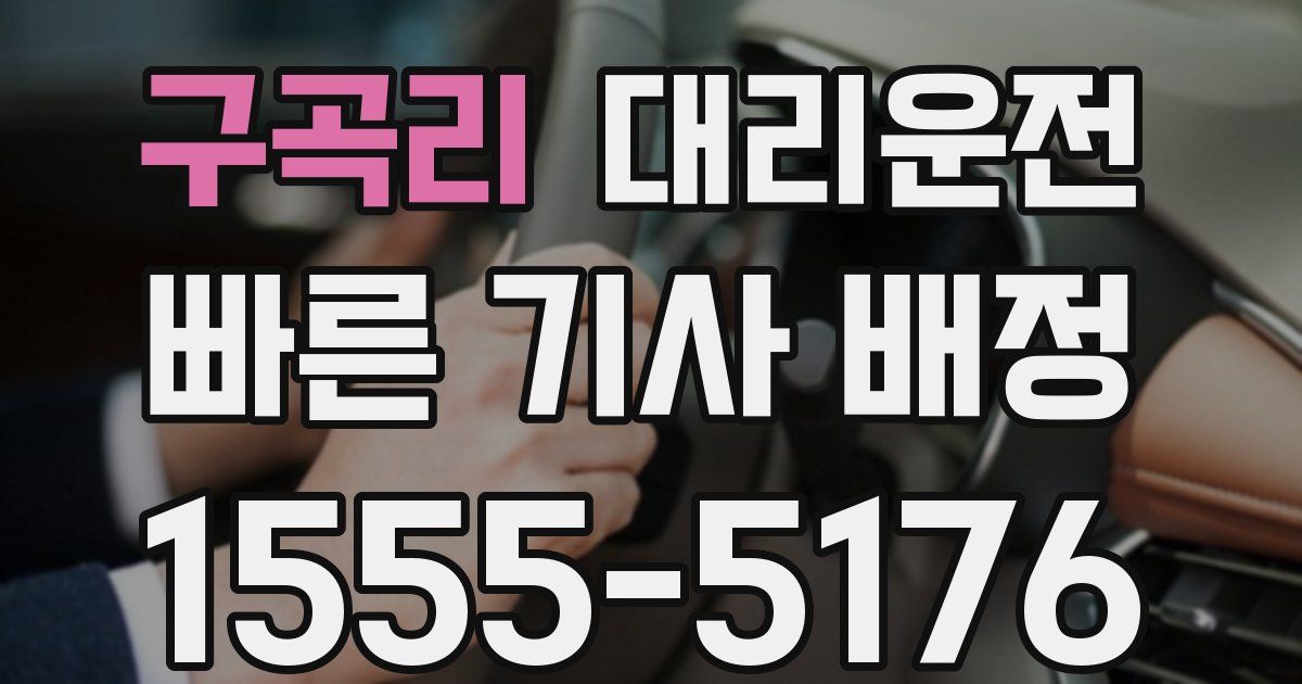 일일대리기사