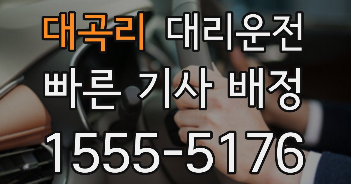 일일대리기사