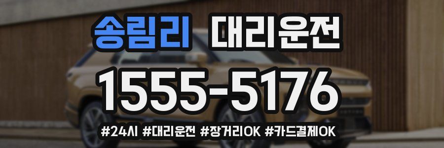 송림리 대리운전