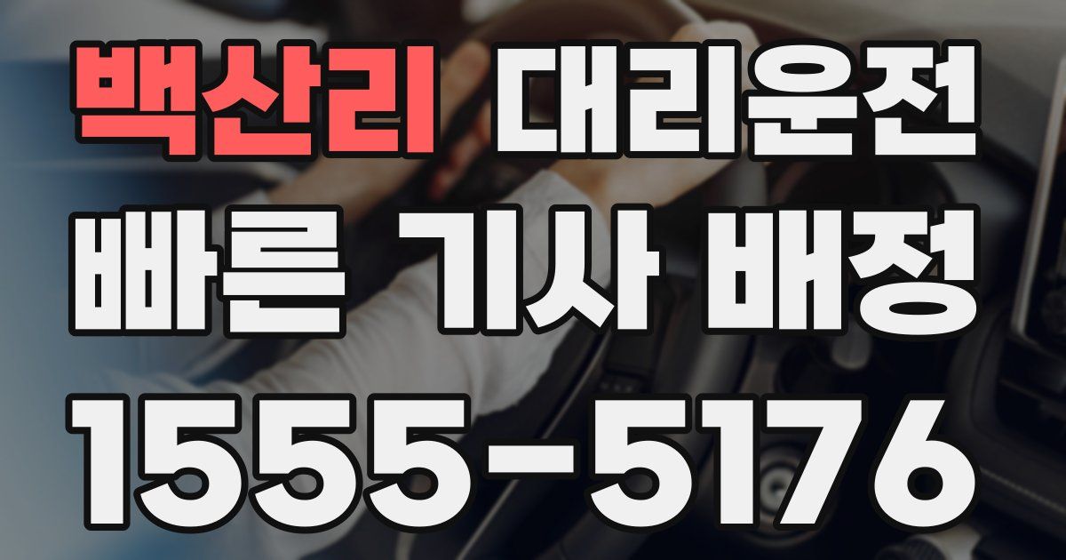 일일대리기사
