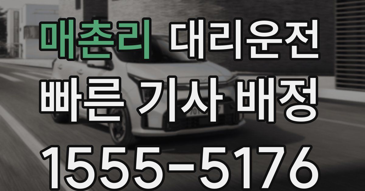 일일대리기사