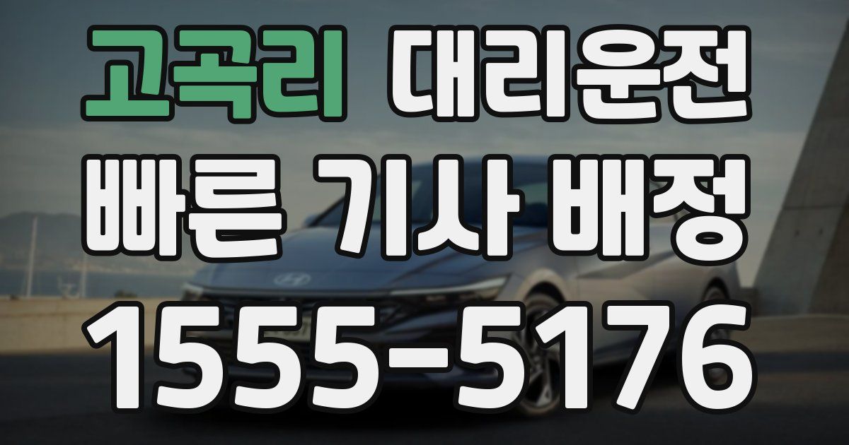일일대리기사
