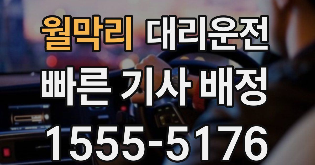 일일대리기사