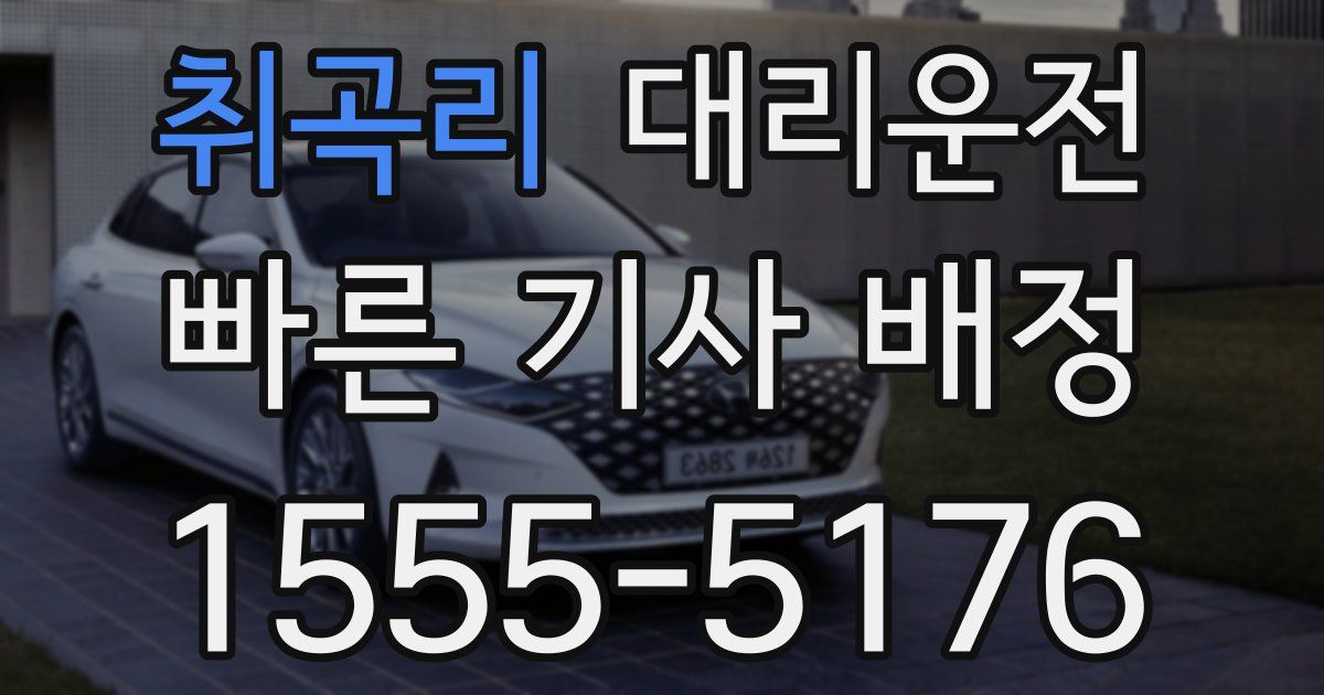 일일대리기사