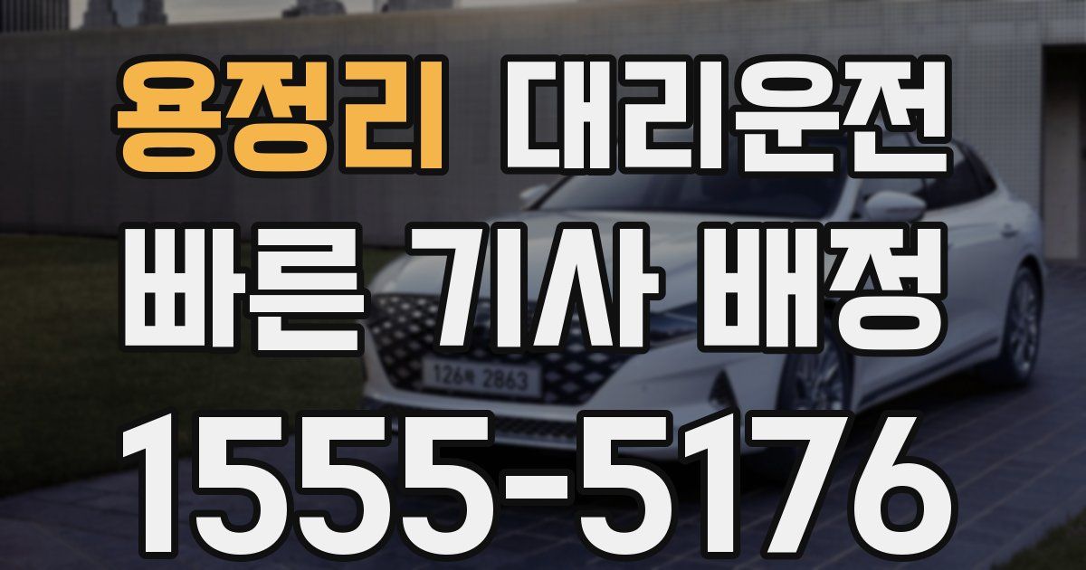 일일대리기사