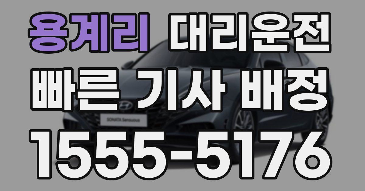 일일대리기사