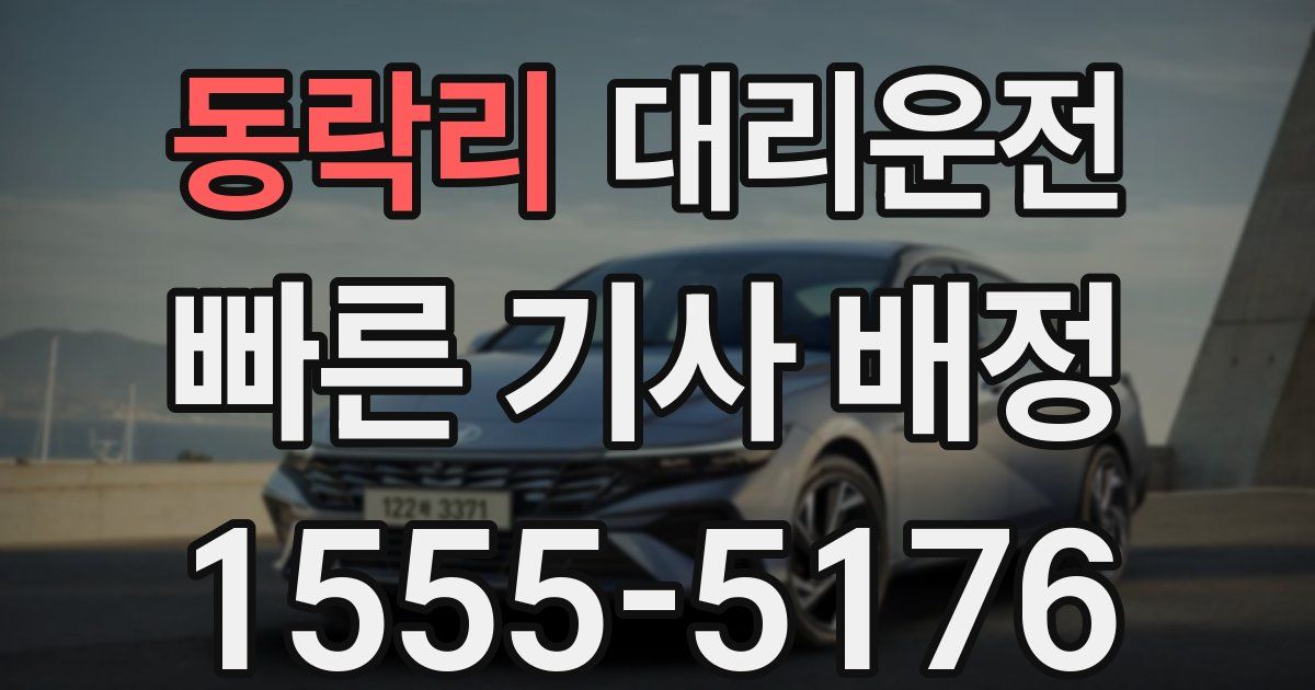 일일대리기사