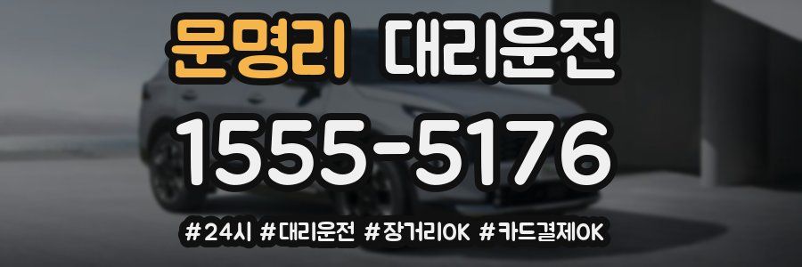 문명리 대리운전