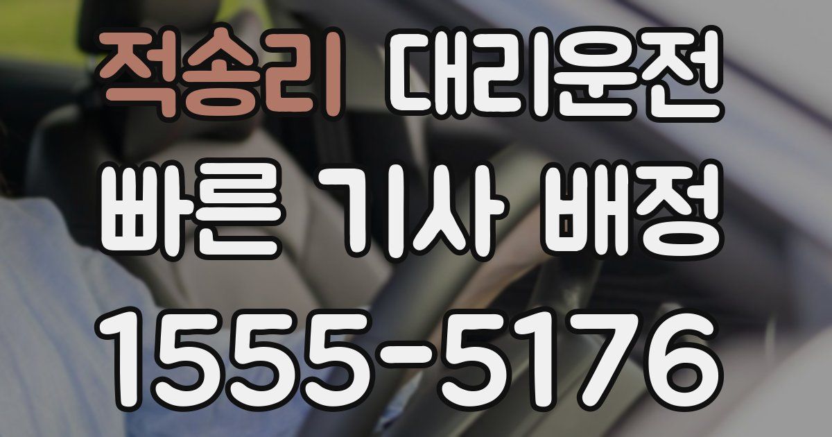 일일대리기사