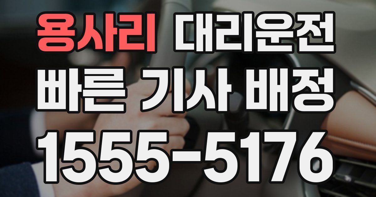 일일대리기사