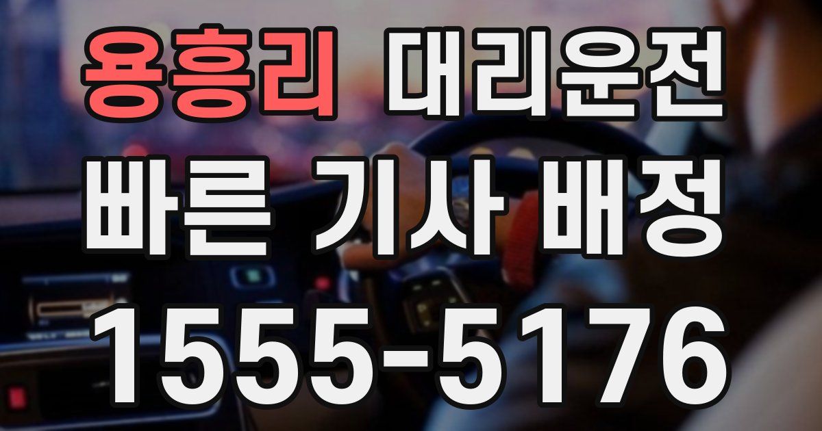일일대리기사