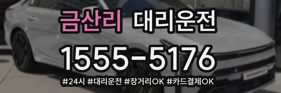 금산리 대리운전