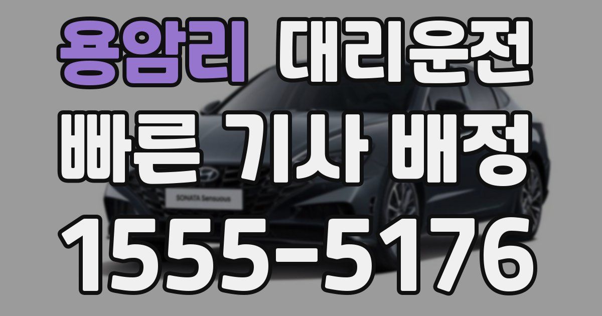 일일대리기사