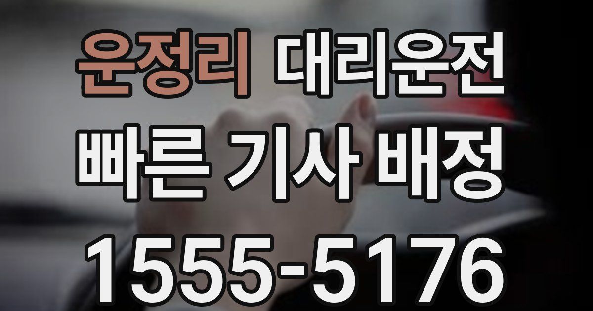 일일대리기사