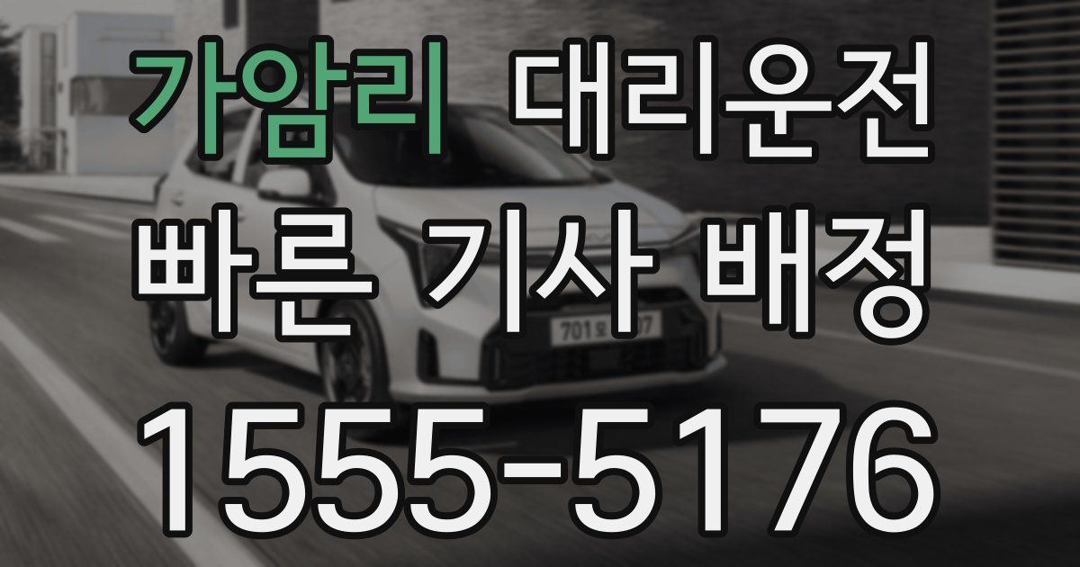 일일대리기사